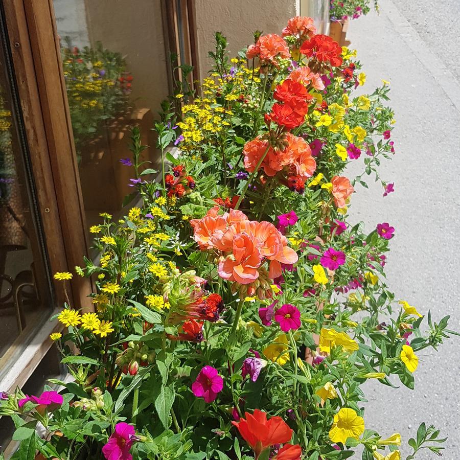 Hotel-Chalet Les Melezes 瓦卢瓦尔 外观 照片